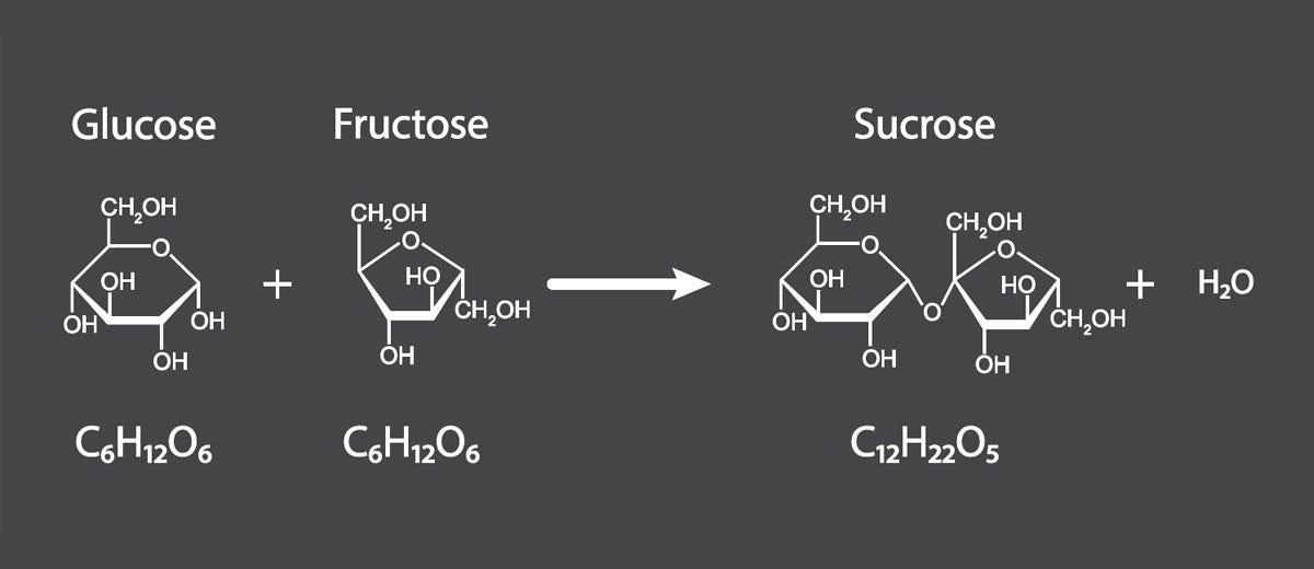 Different Types of of Sugar | Glucose vs Sucrose vs Fructose – Lets Moderate