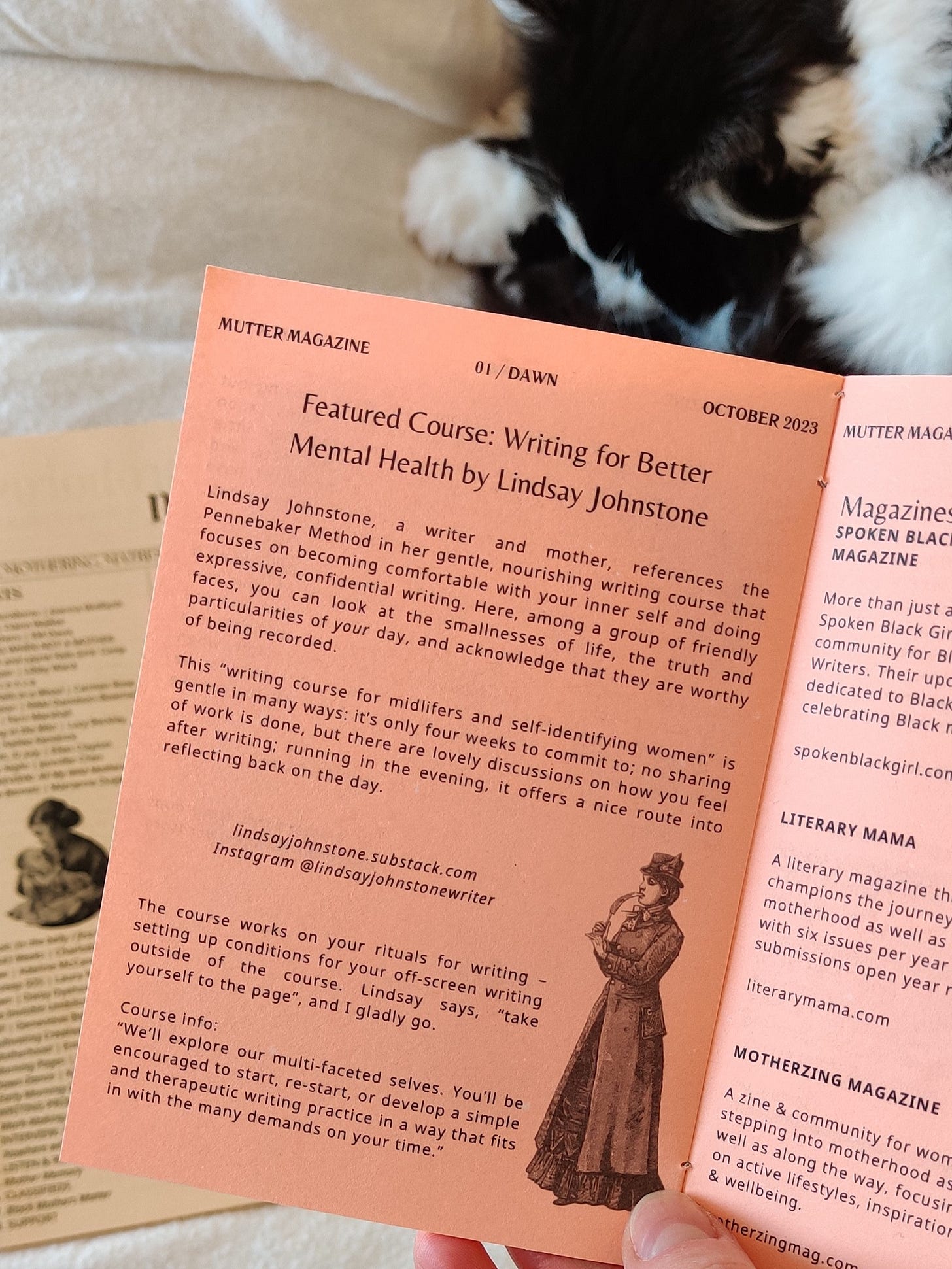 A pink literary magazine supplement explaining all about the Writing for Mental Health Course