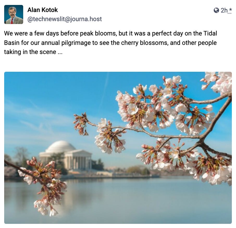 We were a few days before peak blooms, but it was a perfect day on the Tidal Basin for our annual pilgrimage to see the cherry blossoms, and other people taking in the scene ...   
