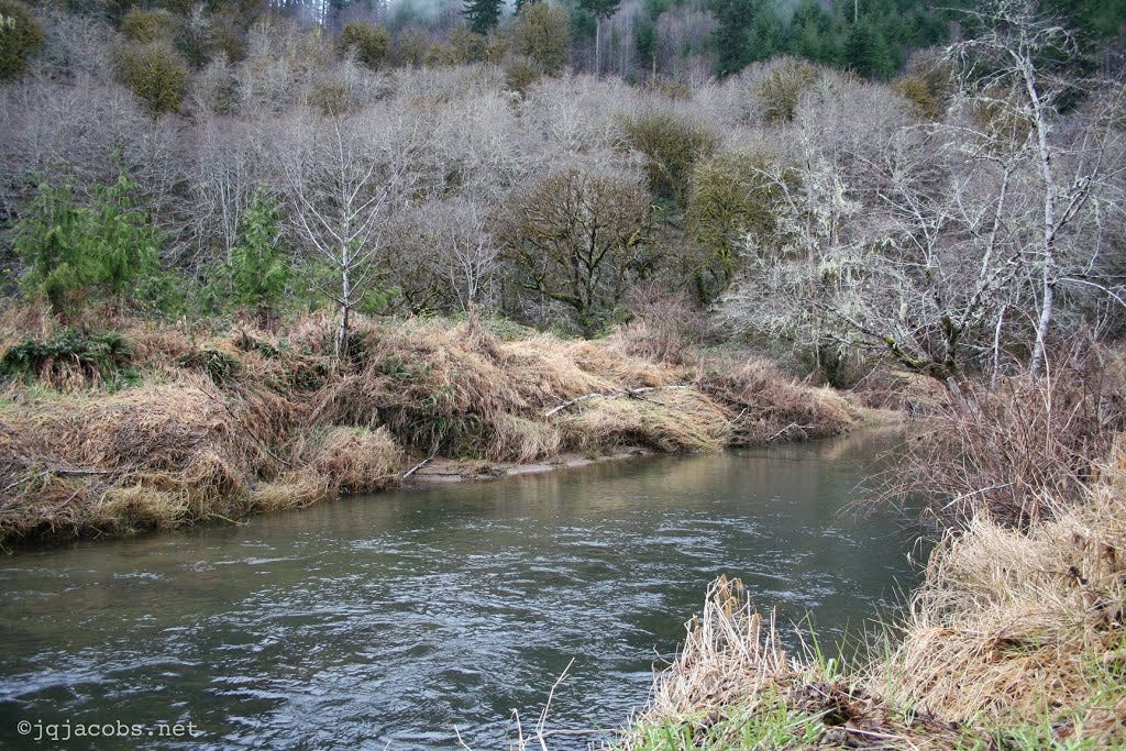 Five Rivers, Alsea Basin, Oregon | Mapio.net