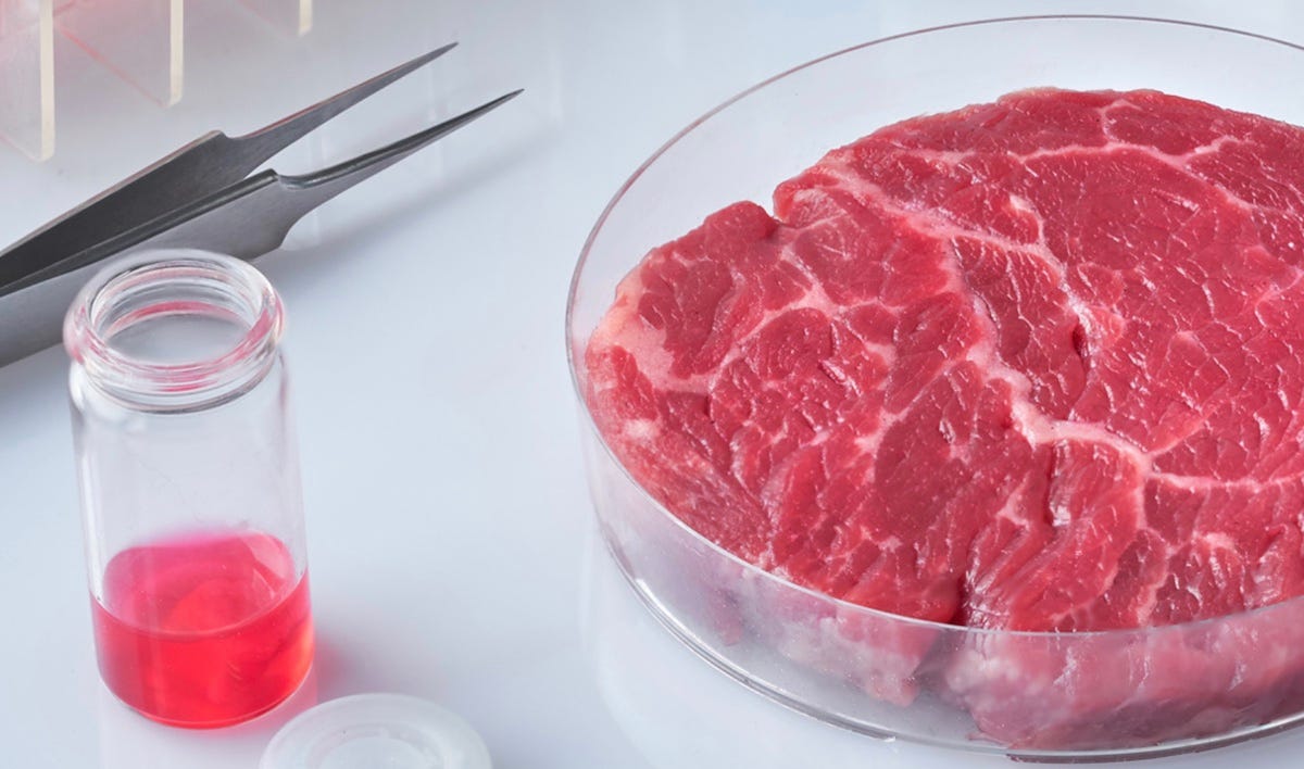 Disrupting the Plate: Cultured Meat Technology | California Management  Review