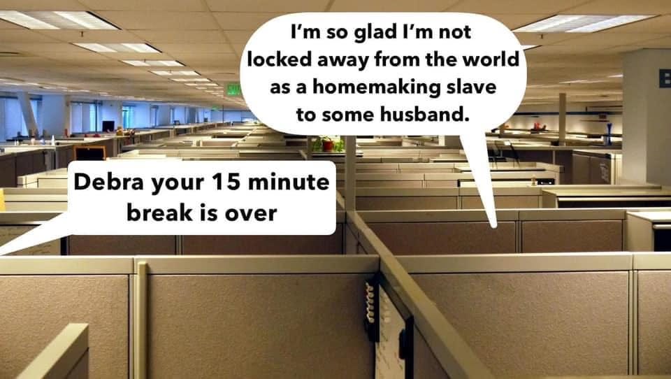 May be an image of text that says 'I'm so glad I'm not locked away from the world as a homemaking slave to some husband. Debra your 15 minute break is over'