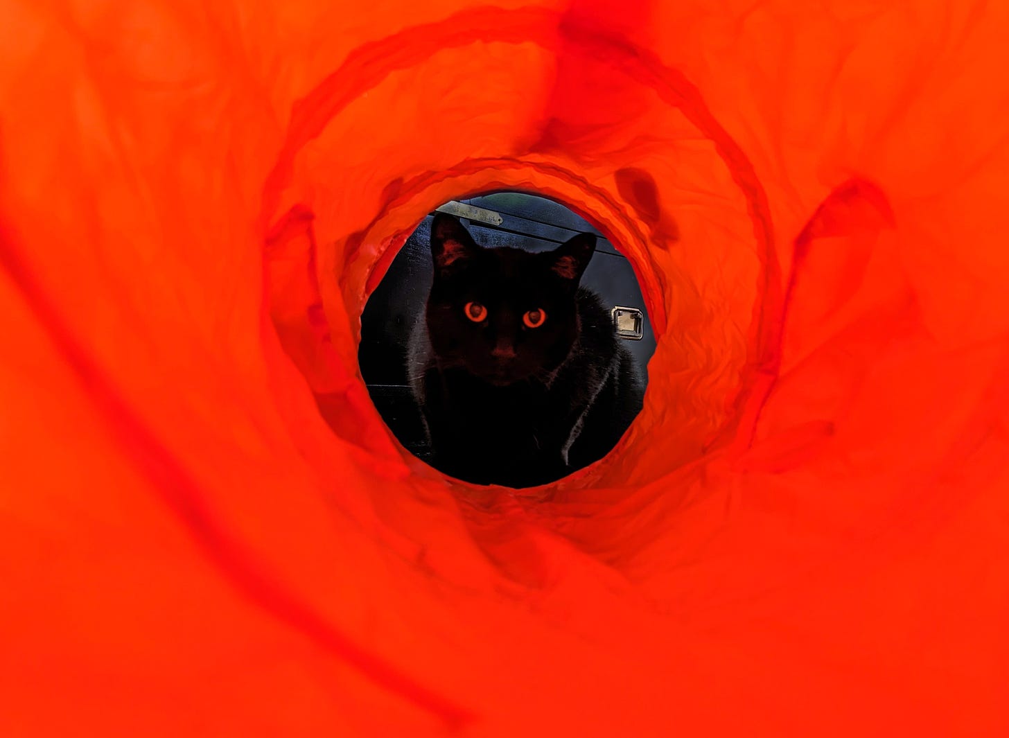 A black cat crouces at the end of a violently orange play tunnel.