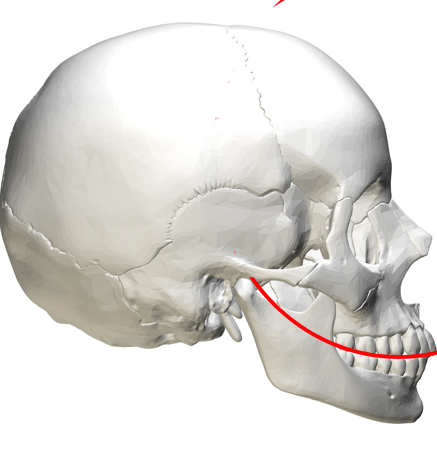 Curve of Spee - Wikipedia