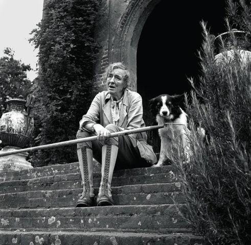 Vita Sackville-West, garden designer. | Vita sackville west, White gardens,  Sackville