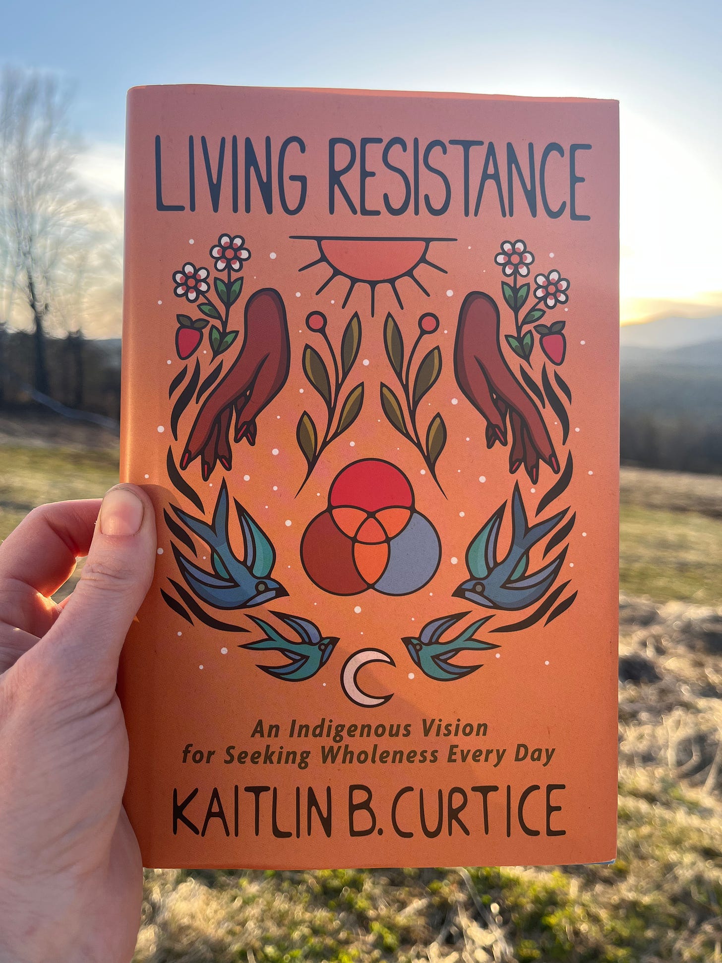 A photo of the book Living Resistance by Kaitlin B. Curtice