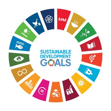 Everyone is starting to adopt the UN SDG framework, but how can you ...