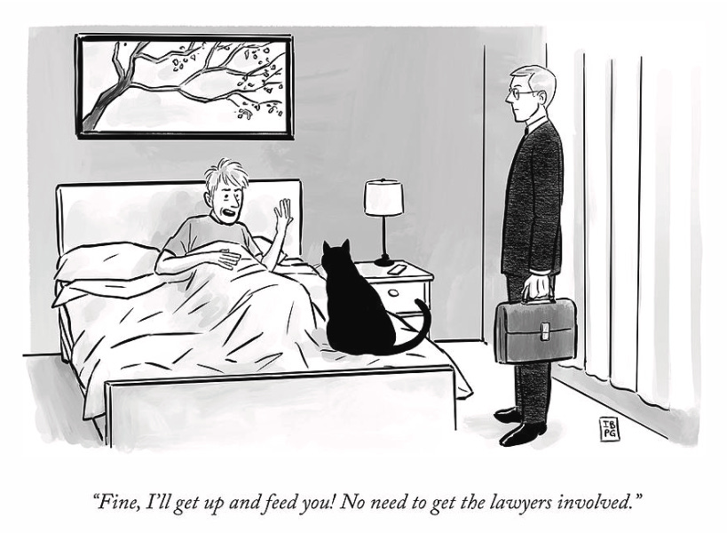 IBPG cartoon of a man in bed and his cat and their lawyer right next time and the words "Fine I'll get up and feed you! No need to get the lawyers involved!"