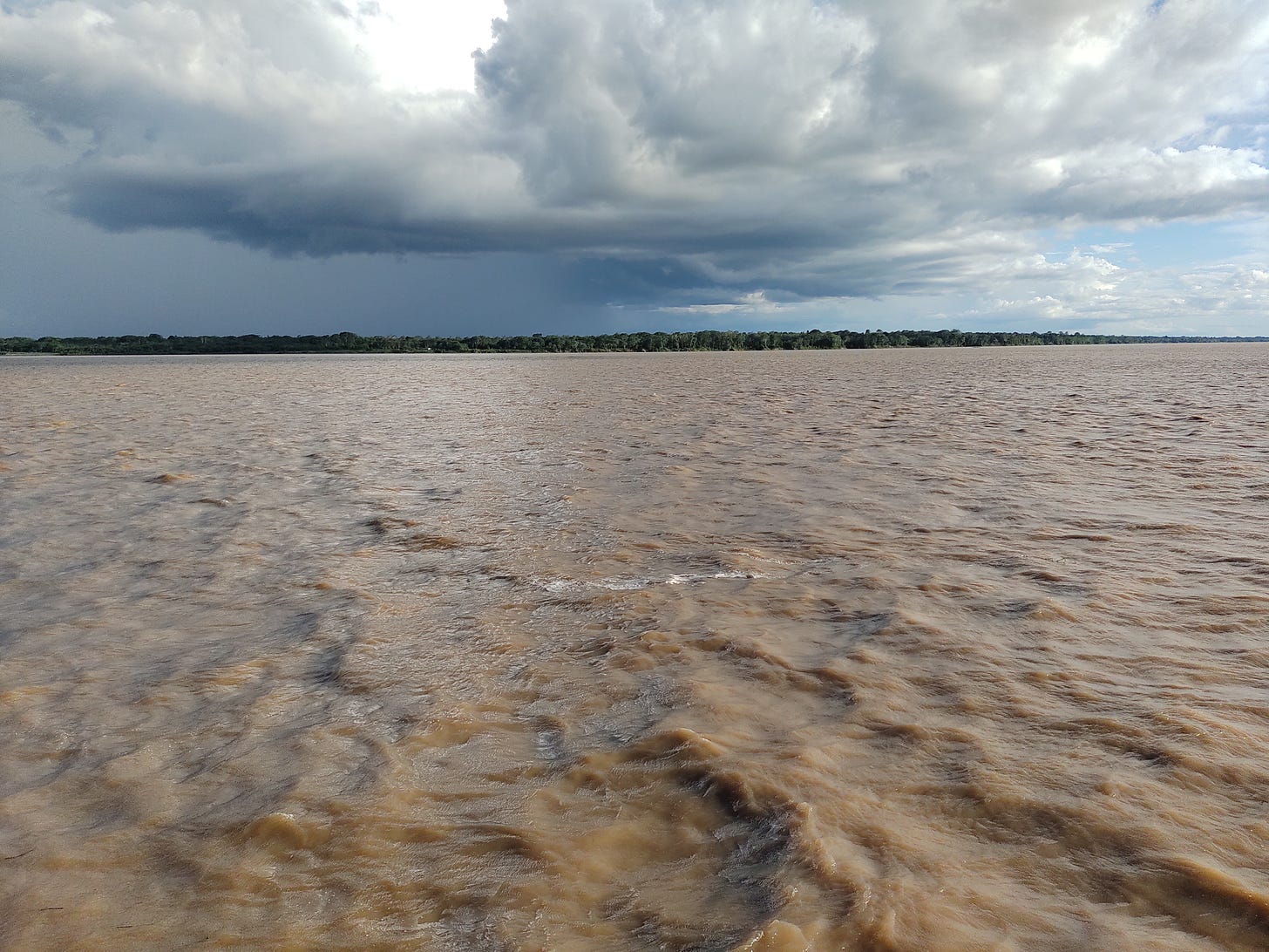 Exploração interna da Amazônia: motivações e consequências