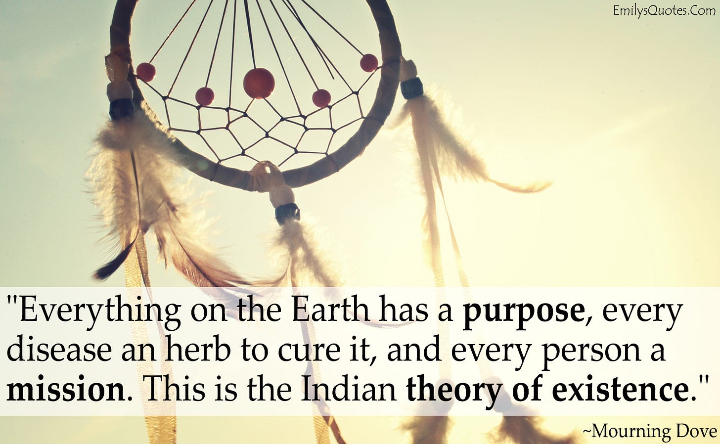Everything on the earth has a purpose, every disease an herb to cure it ...