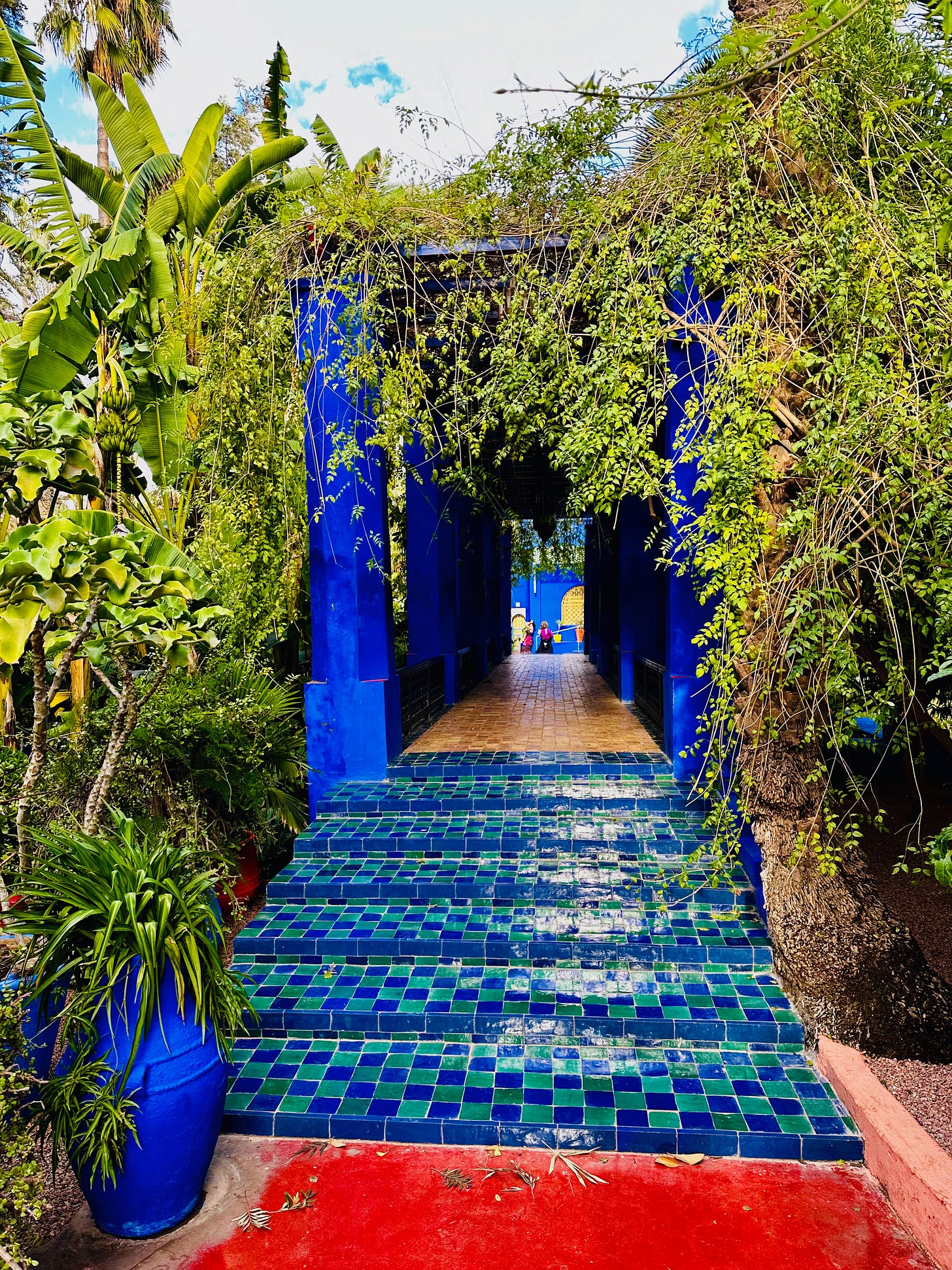 Jardin Majorelle, Marrakesh, Morocco 