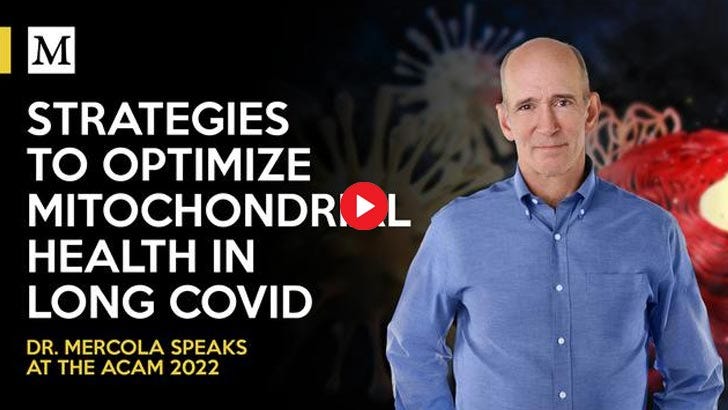 strategies to optimize mitochondrial health in long covid