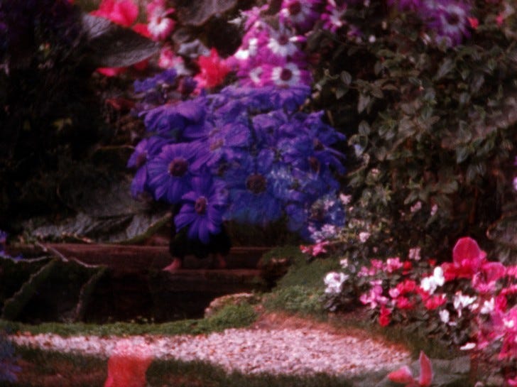 The Illiac Passion - Harvard Film Archive