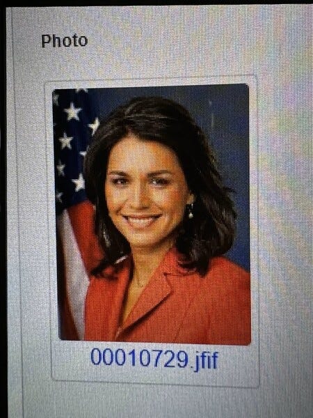 Photo being used by FAMS for Gabbard Target Package