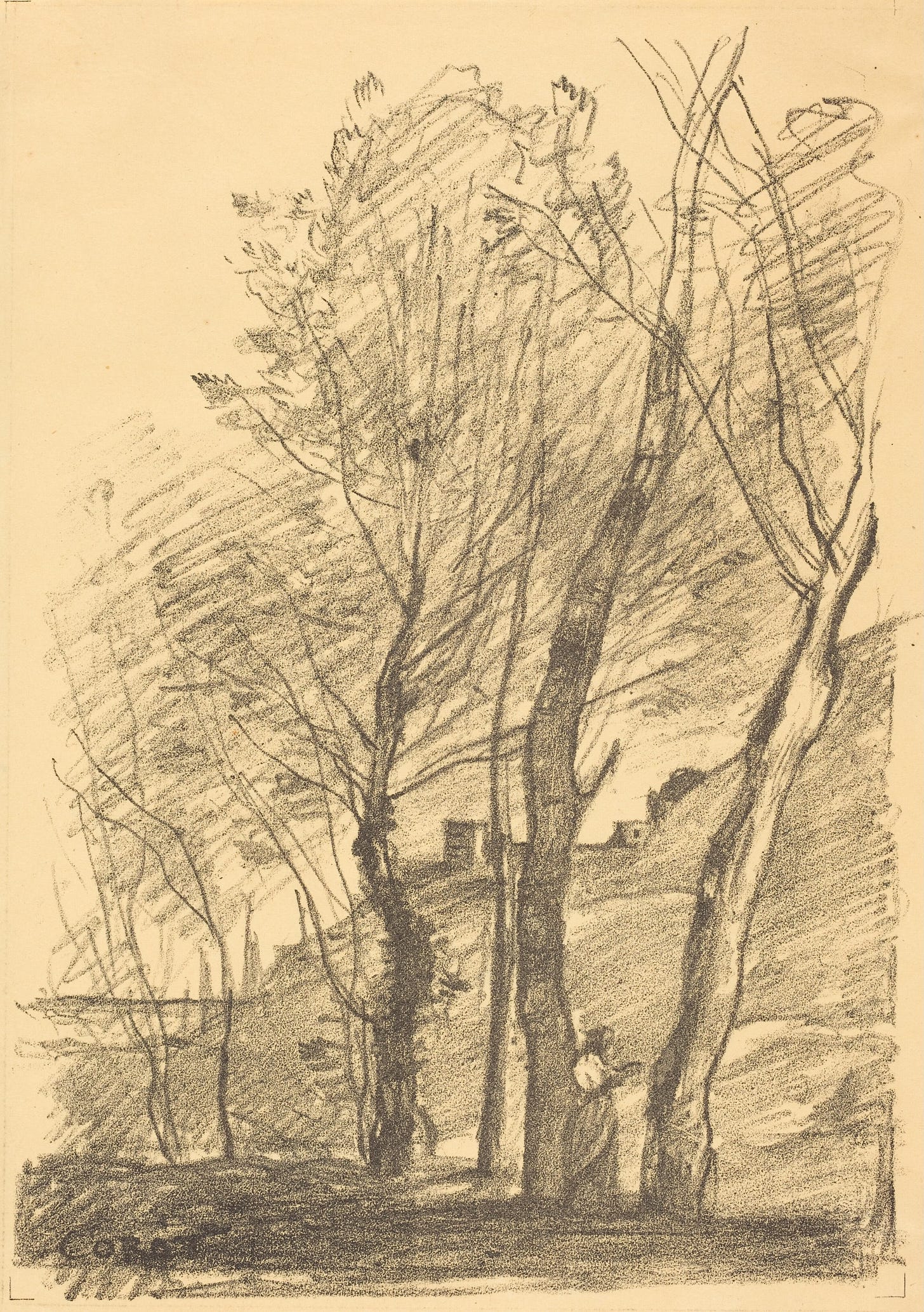 Sketch in pencil of a woman reading underneath trees