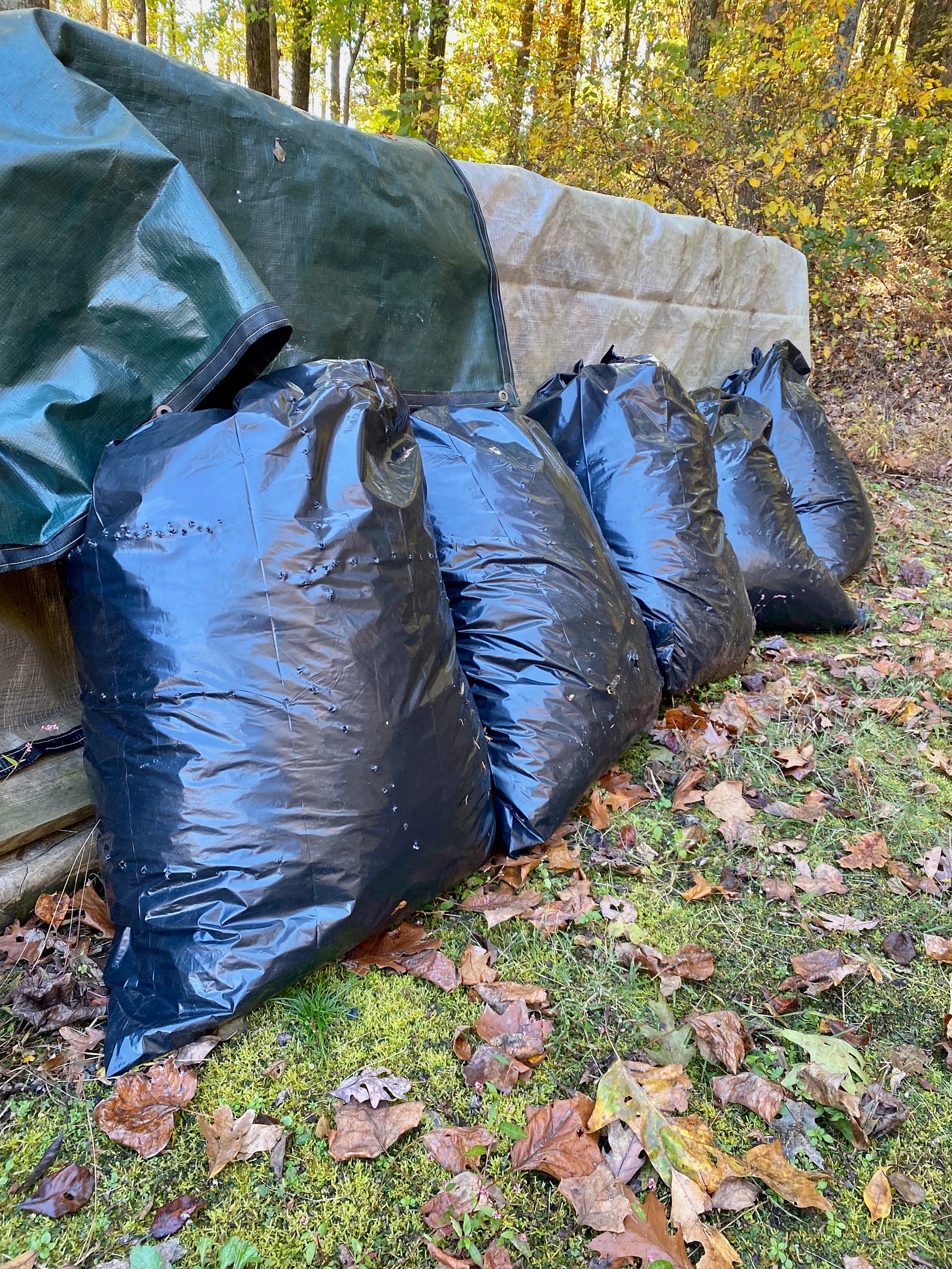 Bags of Leaf Mold