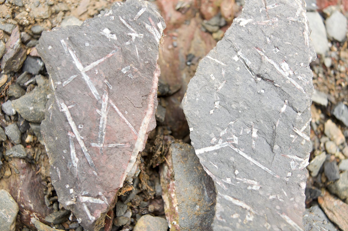 chiastolite slates