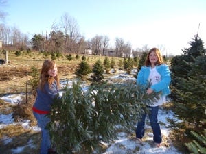 Bodwell tree Farm