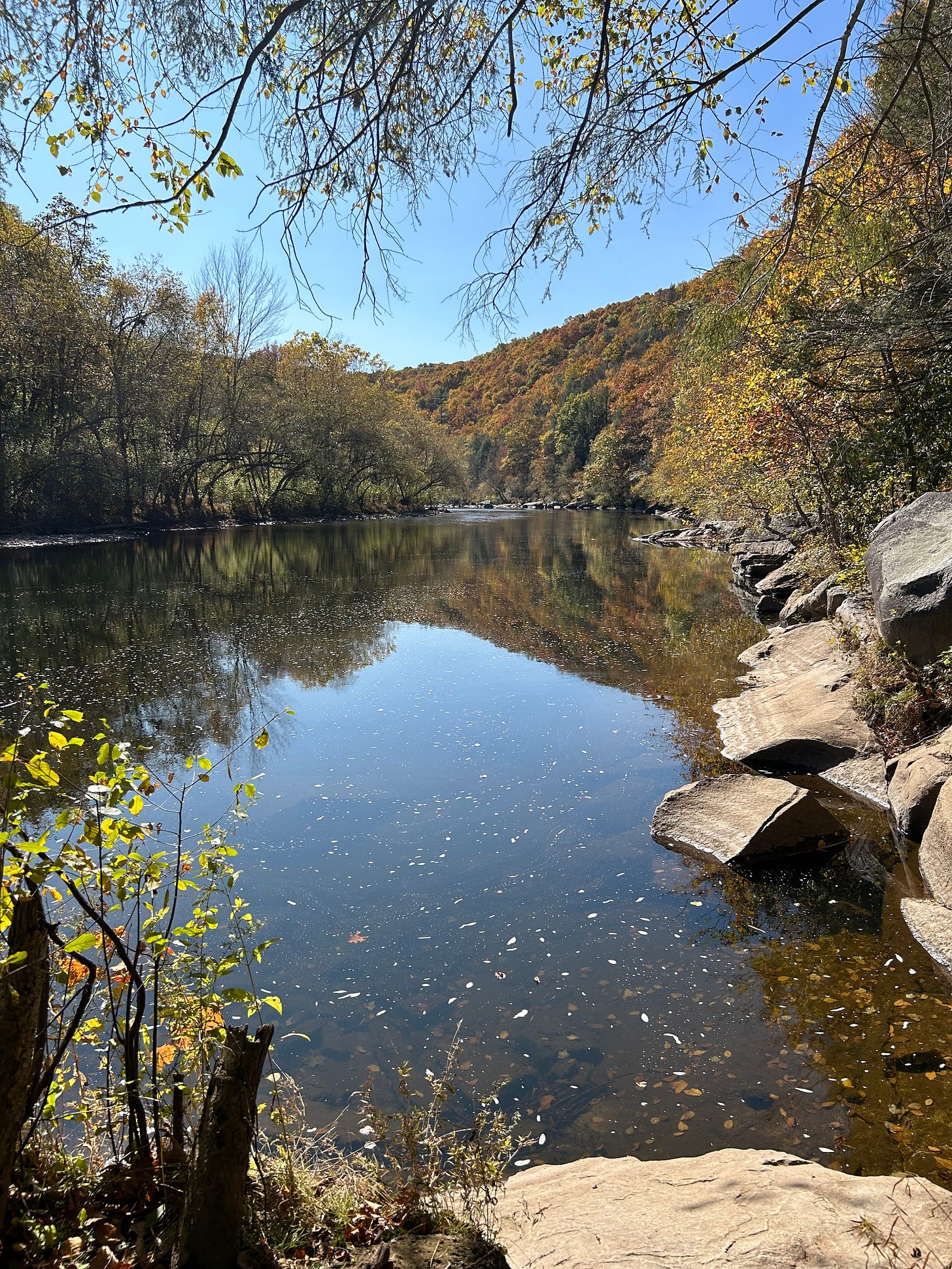 a clear blue sky over the lehigh river, framed by fall foliage