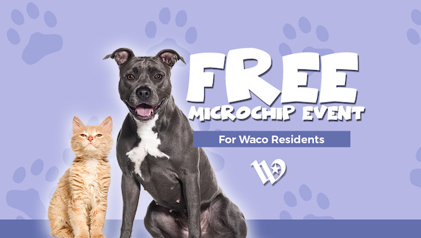 free-microchip-event-2