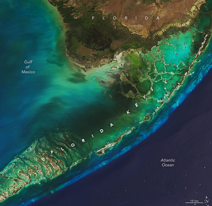 The Changing Seas of the Florida Keys