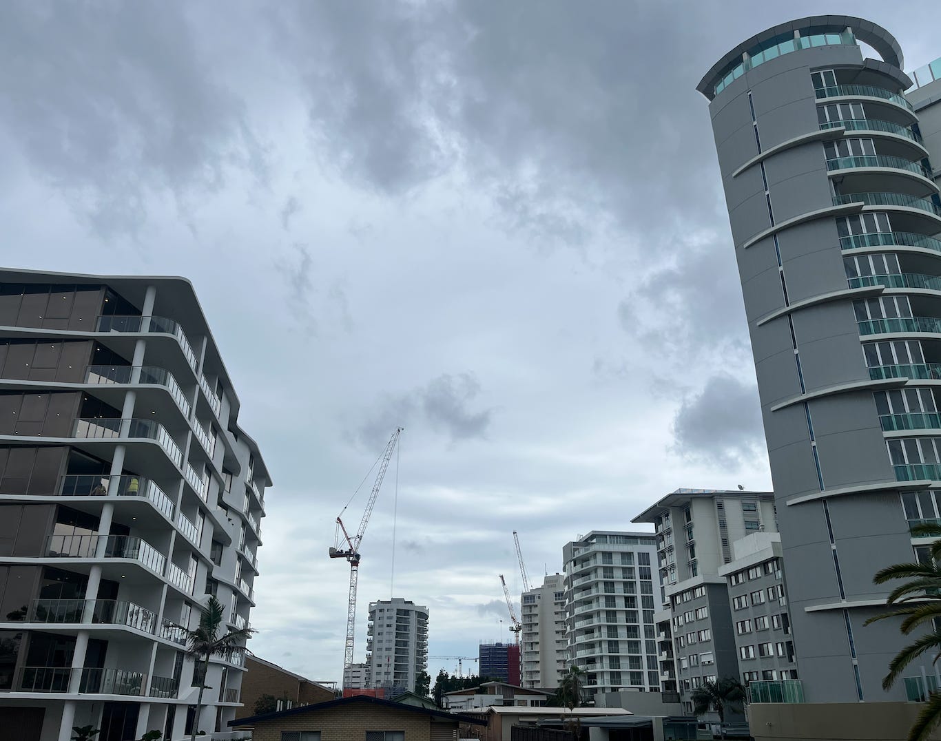 Cranes on the southern Gold Coast