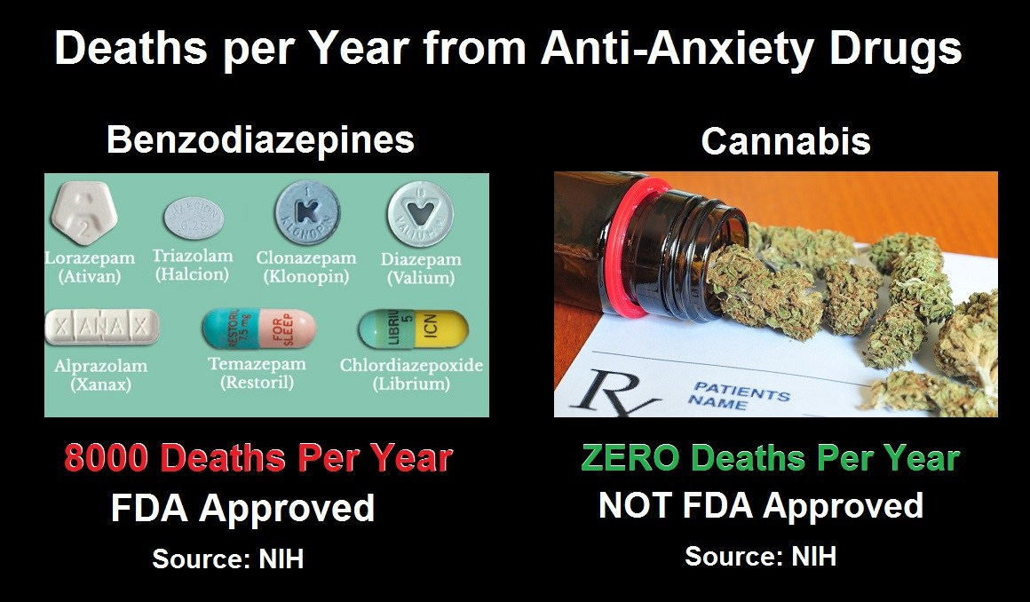 https://healthimpactnews.com/wp-content/uploads/sites/2/2023/08/deaths-from-anti-anxiety-drugs.jpg