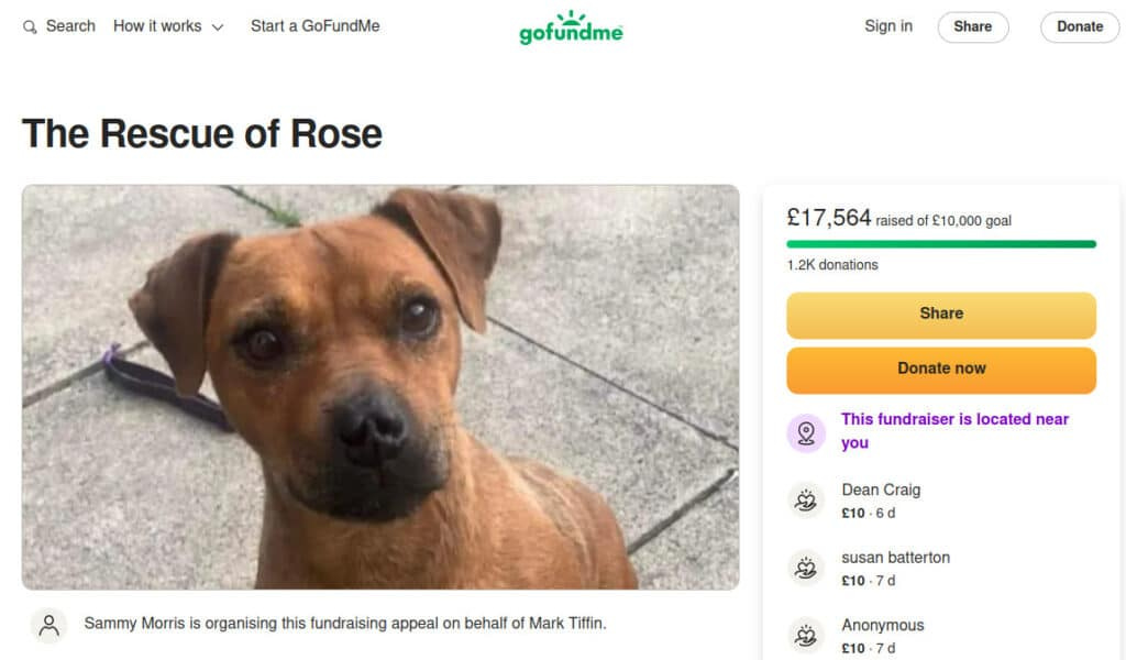 The Go Fund Me page for Rose