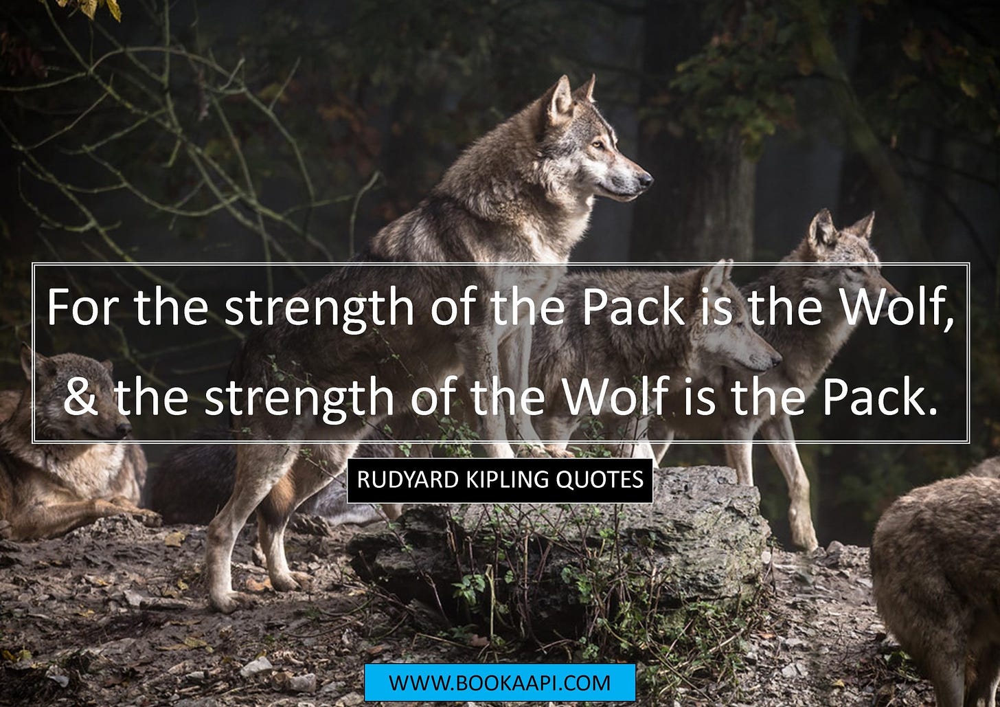 9 Amazing Rudyard Kipling Quotes from The Jungle Book