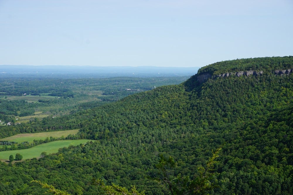 A massive rocky outcropping in the Helderbergs at Thacher State Park. A high view from one of my regular bicycle rides. Lush green summer foliage and the Green Mountains visible, probably 100 miles away.