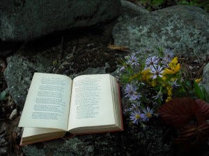 Reading bouquet