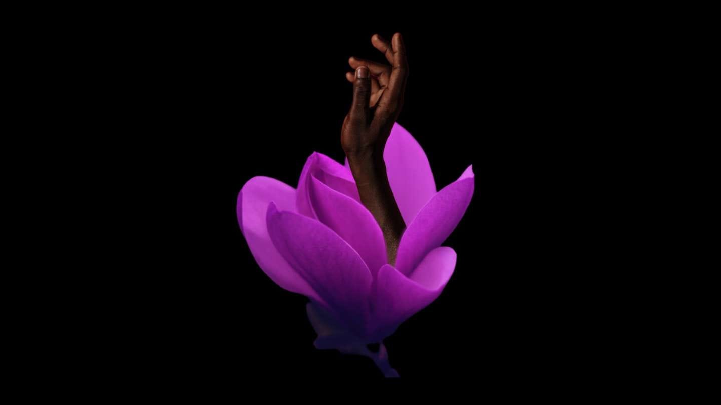 A Black person's hand emerging from the middle of a purple flower, reaching upward.