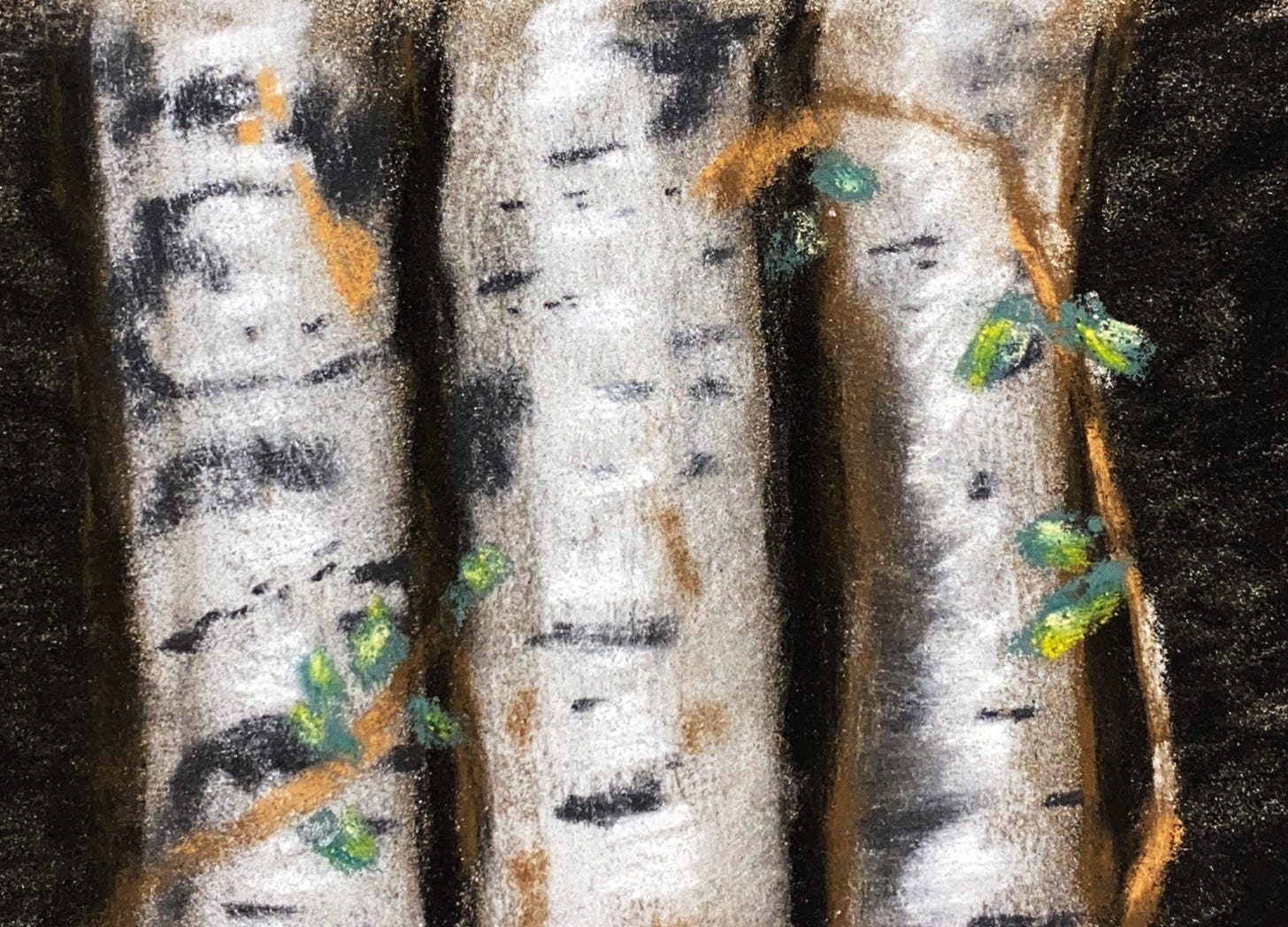 pastel painting of birch trees