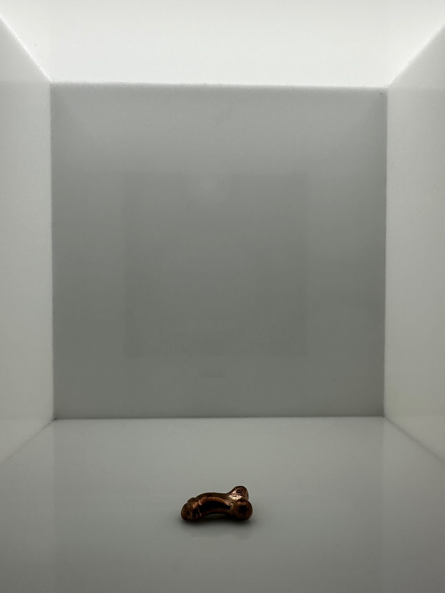 Carlos Motta’s Pleas of Resistance at MACBA in Barcelona