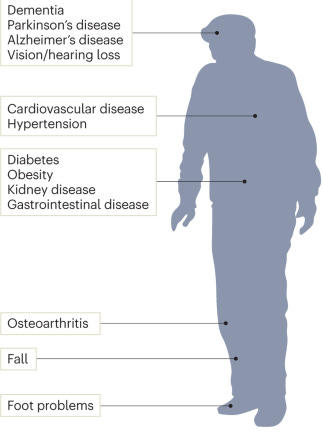 figure 1 figure 1