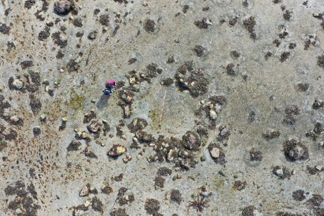 Skye Circles