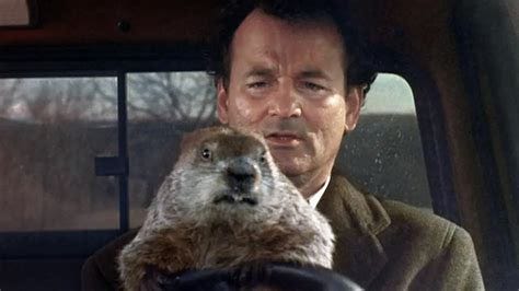After 30 years, Buddhist-inspired message of 'Groundhog Day' still ...