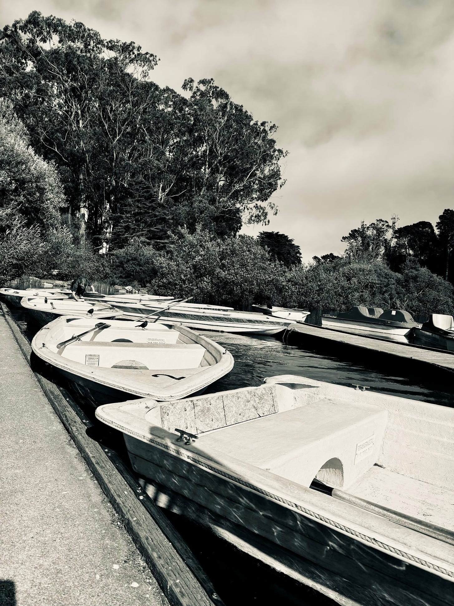 Boats at lake