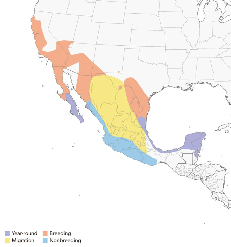 20240705-maps-2.jpg