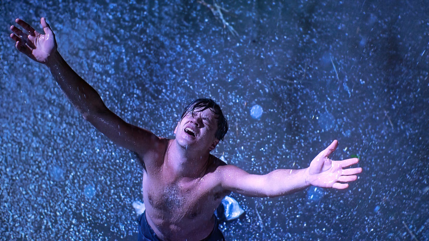Andy Dufresne, Tim Robbins, actor, Stephen King, The Shawshank ...