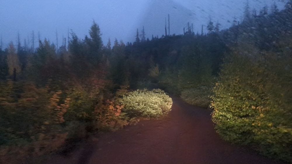 the view from inside the truck looking into the dim light of late evening, on a red dirt road lined with various trees and shrubs