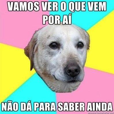 Meme do cachorro que não sabe o que vem por aí.