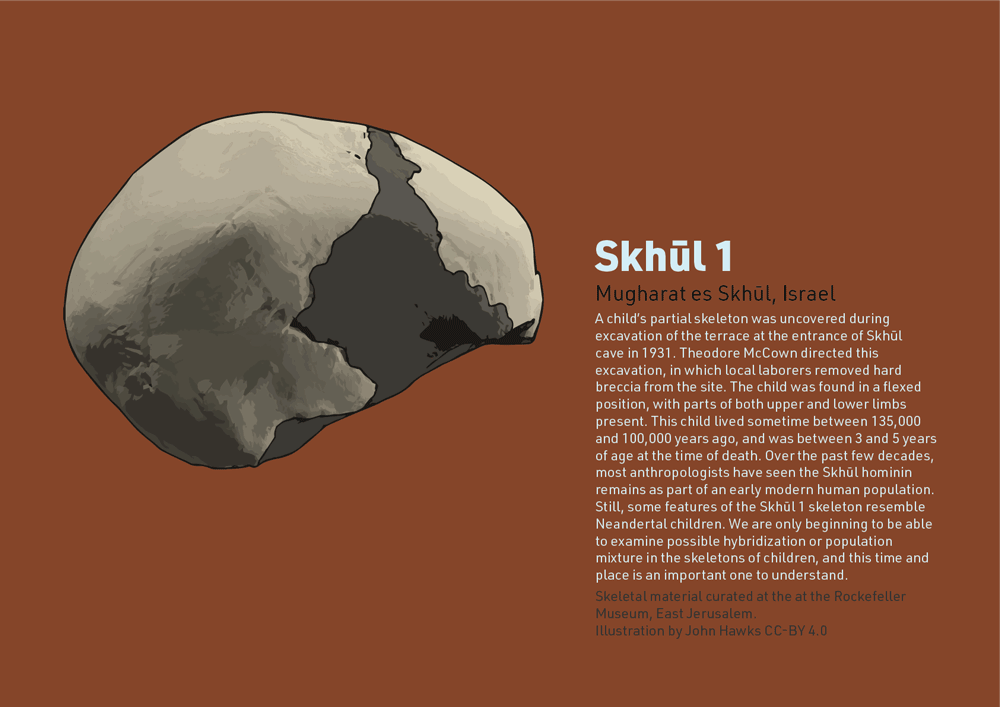 Skhūl 1 calvaria with information