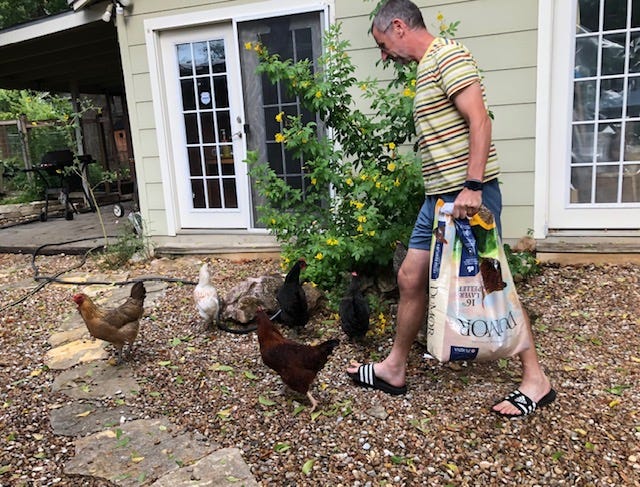 Man with chickens