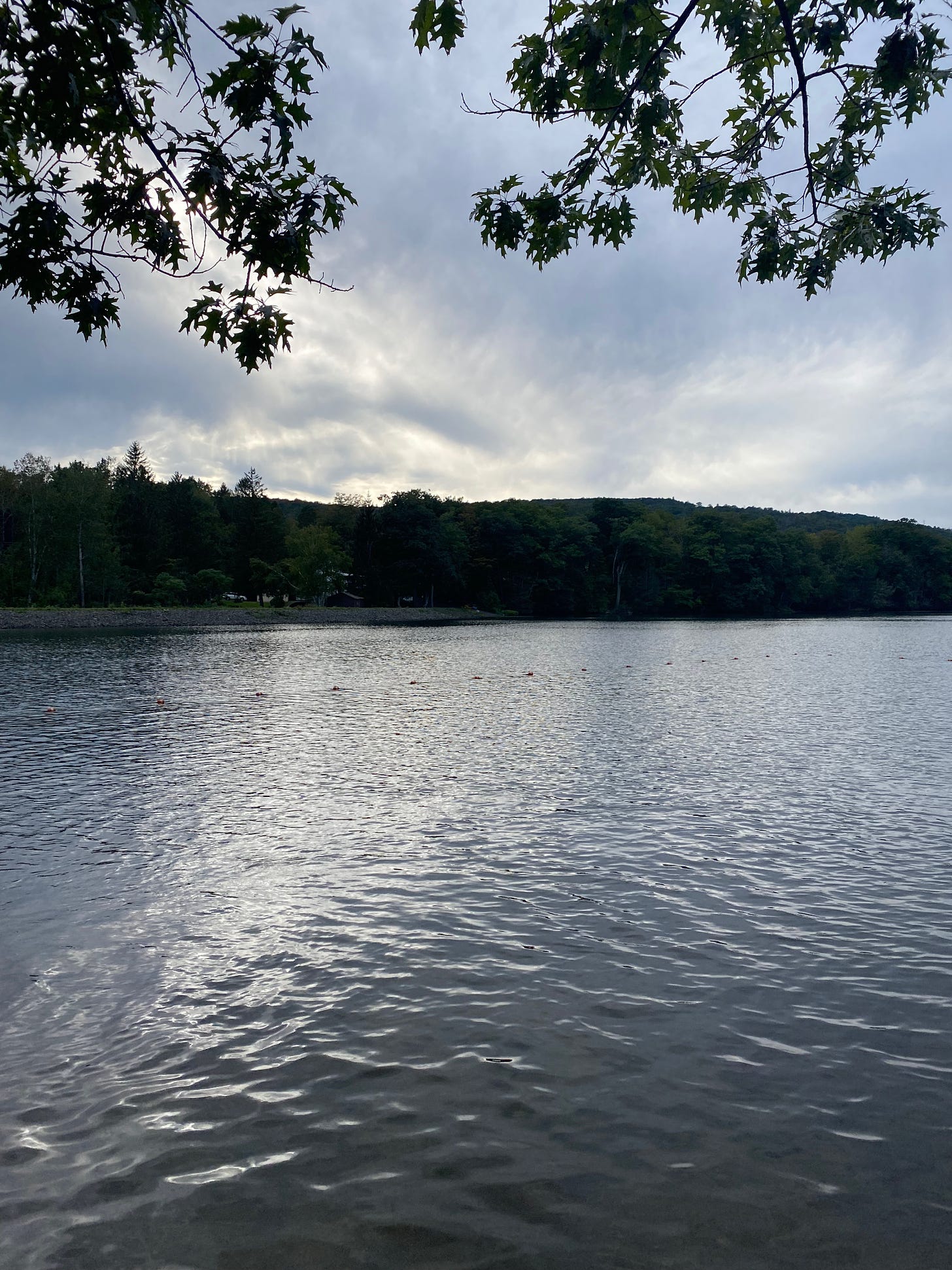 Ashfield Lake on a cloudy day: the sky full of clouds, the water shimmering grey, the trees in the background dark.