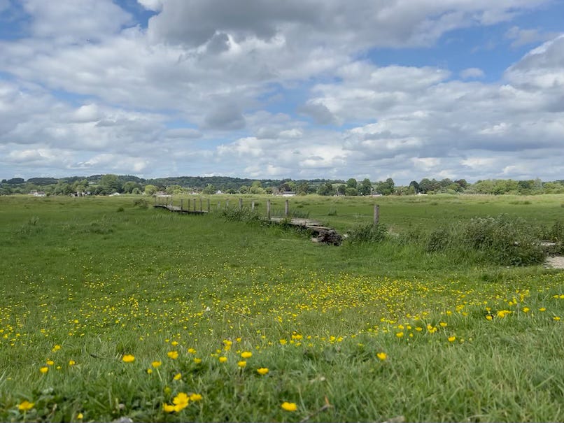 A scenic view of a lush green meadow dotted with yellow wildflowers under a partly cloudy sky. A narrow wooden footbridge with railings stretches across the field, leading toward a distant line of trees and houses at the horizon. Rolling hills and scattered clouds add depth to the tranquil rural landscape.