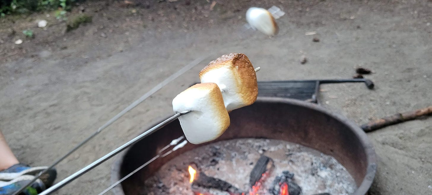 Two perfectly toasted marshmallows on a stick, a small fire in the background