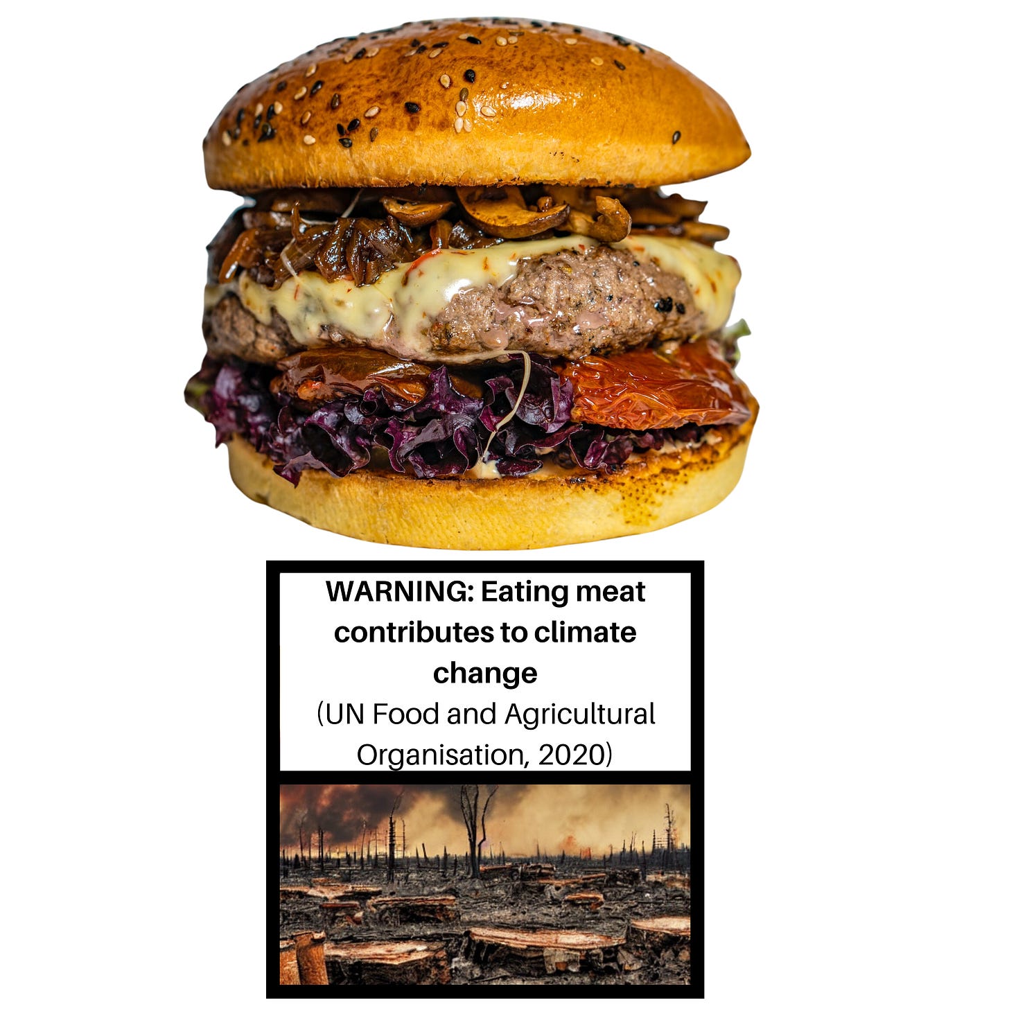 <p>One of the cigarette pack-style warning labels suggested for meat-based meals</p>