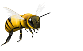 Bee in flight