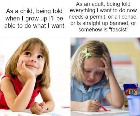 r/libertarianmeme - What do you mean I can't put a flag pole in my yard?